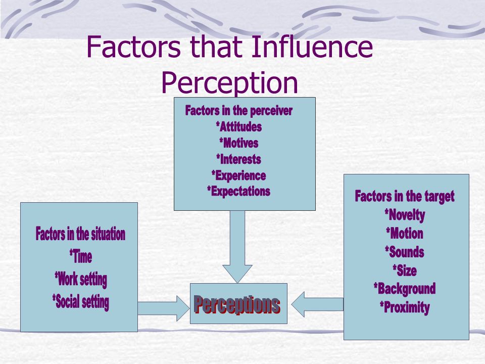 Factors influencing social perception